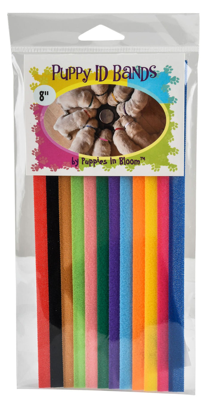 Puppies in Bloom Puppy ID Bands - PNB13 - 8 in - 1