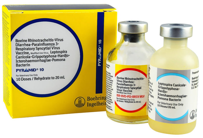 Pyramid 10 Cattle Vaccine - F7PI - 10 Dose Vial - 2