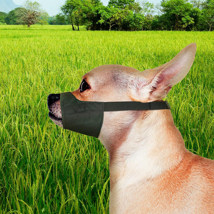 Quick - Fit Dog Muzzle by Four Paws - 39E1 - Size 0 - 3