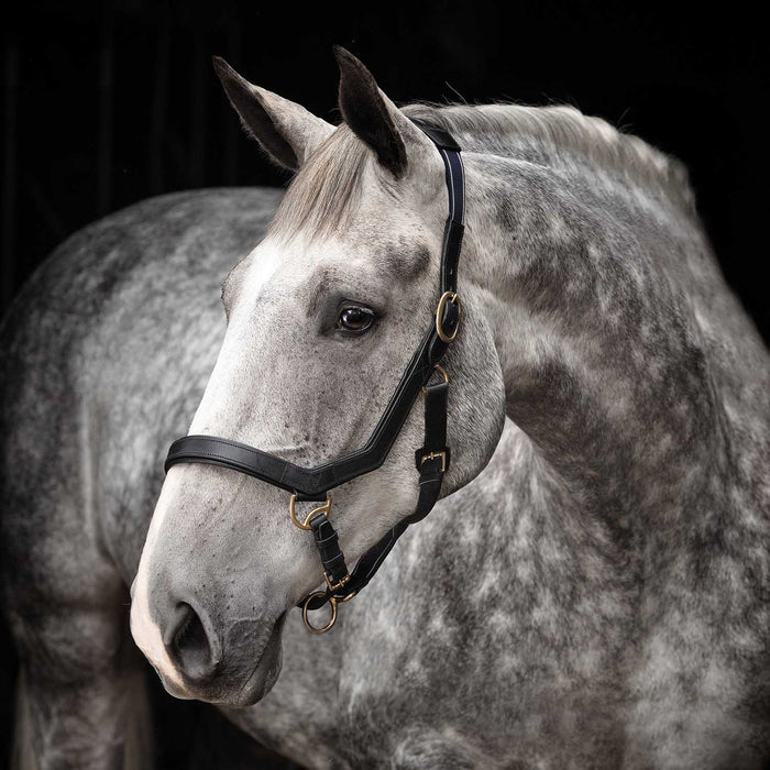 Rambo Micklem Leather Pony & Horse Halter – Anatomical Comfort Fit, Adjustable & Safe - FOZZ - Brown - Pony - 2