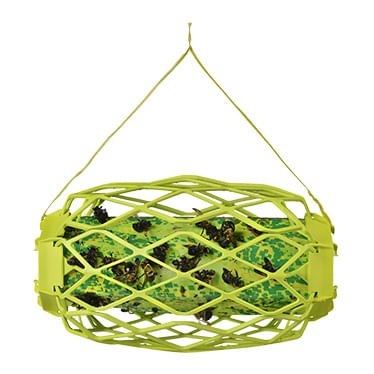 RESCUE! Carpenter Bee TrapStik - SEY5 - 3