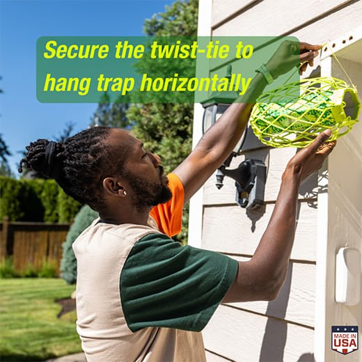 RESCUE! Carpenter Bee TrapStik - SEY5 - 7