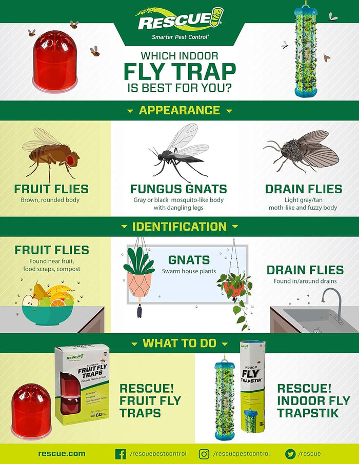 DUPLICATE - SEY7 - RESCUE! Fruit Fly Trap Refill - SEY7-DUPE - 3