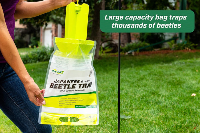 RESCUE! Japanese & Oriental Beetle Trap & Refills – Reusable, Non - Toxic Garden Pest Control - SE1E - Beetle Trap - 1 ct - 6