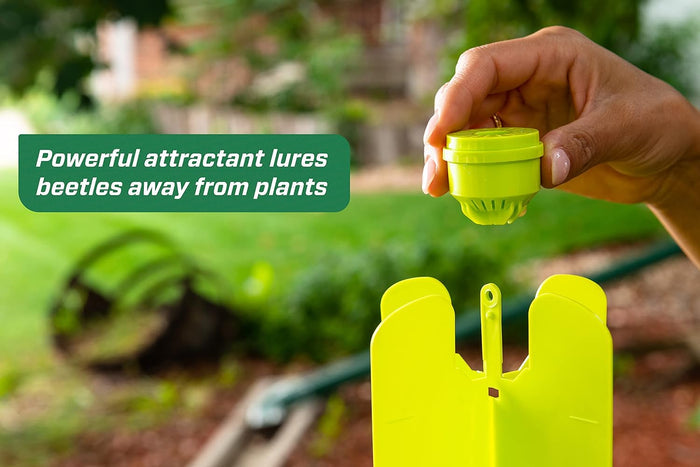 RESCUE! Japanese & Oriental Beetle Trap & Refills – Reusable, Non - Toxic Garden Pest Control - SE1E - Beetle Trap - 1 ct - 7