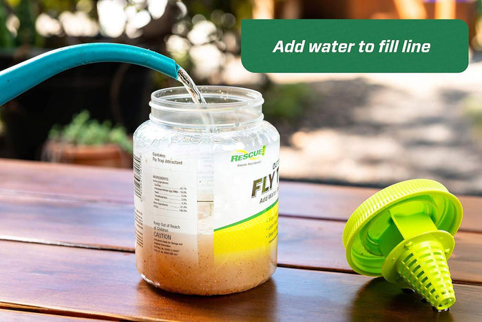 RESCUE! Outdoor Fly Trap & Refills – Reusable, Non - Toxic Fly Catcher for Outdoor Pest Control - SEYB - Outdoor Fly Trap - 1 ct - 6