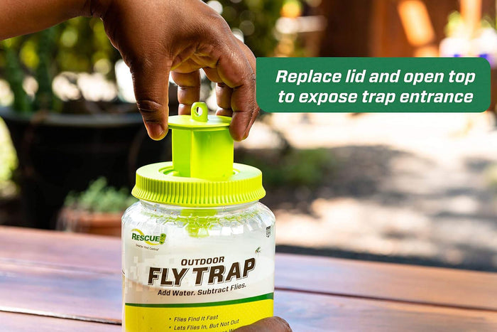 RESCUE! Outdoor Fly Trap & Refills – Reusable, Non - Toxic Fly Catcher for Outdoor Pest Control - SEYB - Outdoor Fly Trap - 1 ct - 7