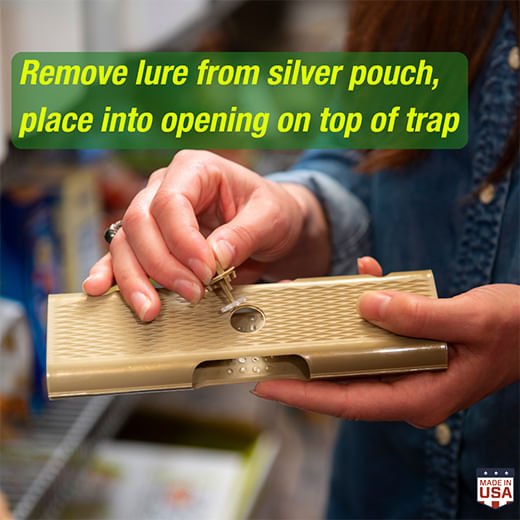 RESCUE! Pantry Moth Trap, 2 pk - SEYA - 2pk - 3