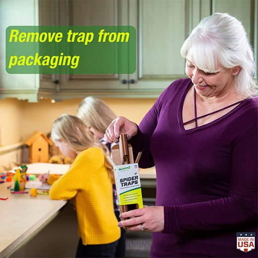 RESCUE! Spider Trap, 3 pk - SEY9 - 3pk - 3