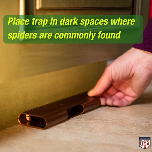 RESCUE! Spider Trap, 3 pk - SEY9 - 3pk - 4