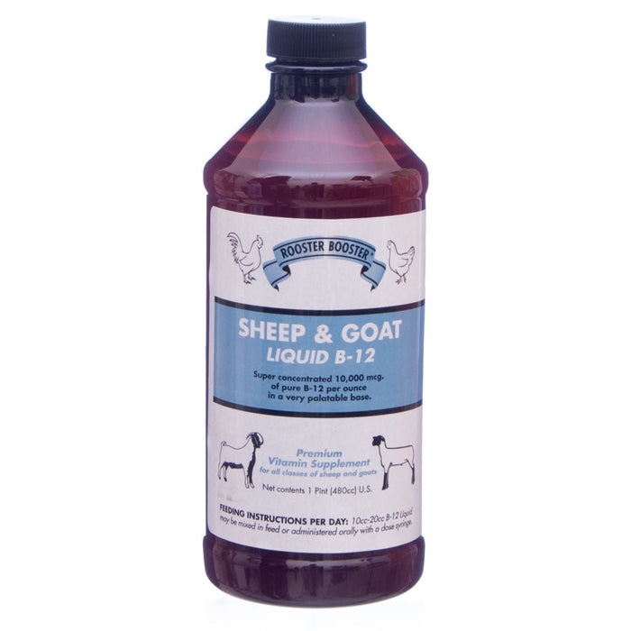 Rooster Booster® Sheep & Goat Liquid B - 12 - UTAD - 16 oz - 1