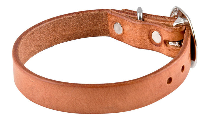 San Saba Dog Collar - SANHQ - 14 in - 2