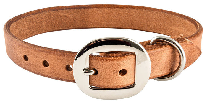 San Saba Dog Collar - SANHQ - 14 in - 5