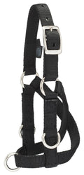 Sheep/Goat Treadmill Halter - WLC1AF - Small - 1