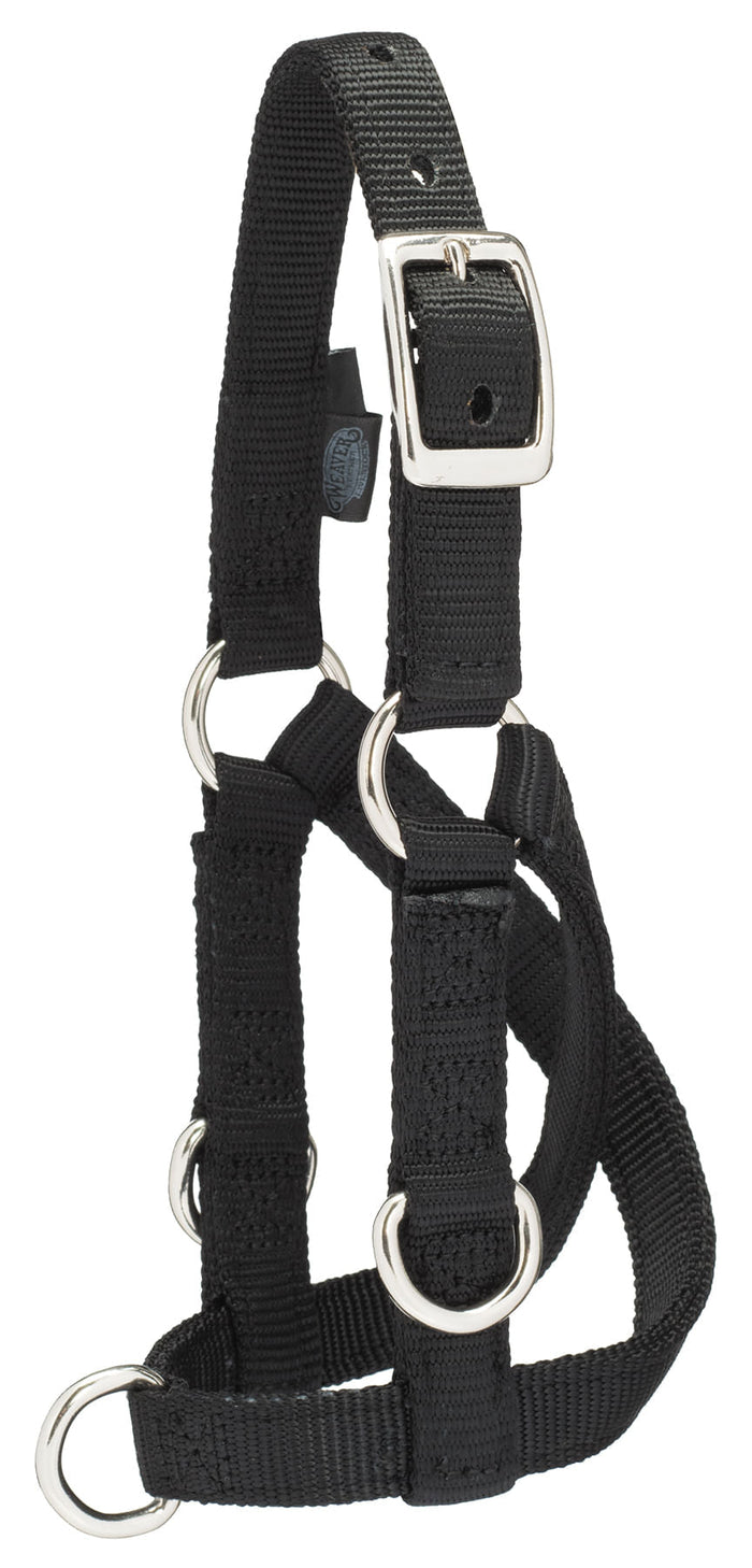 Sheep/Goat Treadmill Halter - WLC1AF - Small - 1