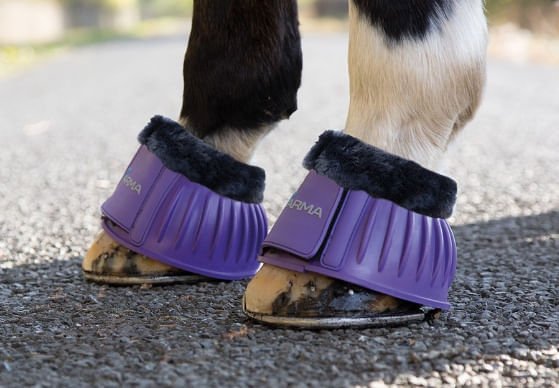Purple / Full / Pair