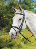 Shires Avignon Louisville Bridle - SEP1CV - Black - Cob - 1
