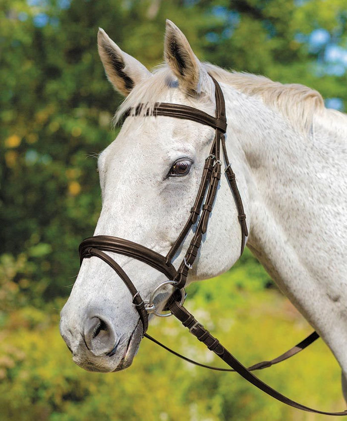 Shires Avignon Louisville Bridle - SEP1CZ - Havana - Cob - 2