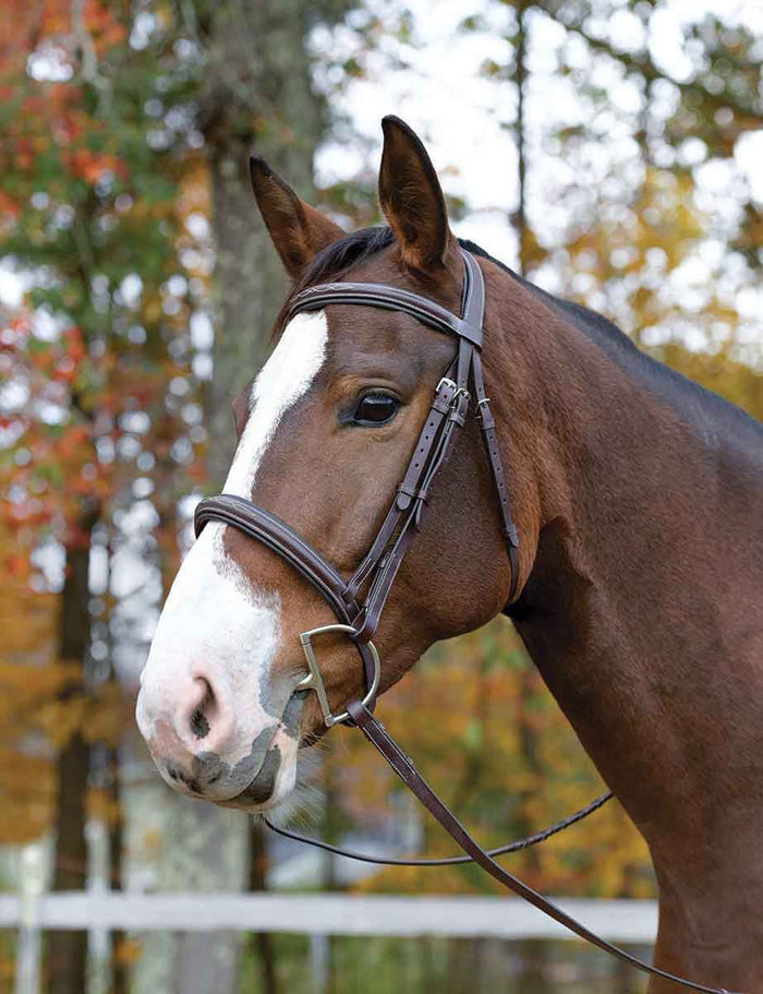 Shires Avignon Ocala Bridle, Havana - SEP1CD - Full - 1