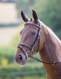 Shires Avignon Portland Bridle, Havana - SEP1CJ - Full - 4