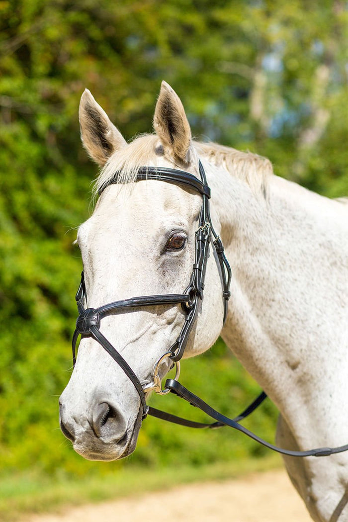 Shires Avignon Woodside Bridle - SEP1CM - Black - Cob - 1