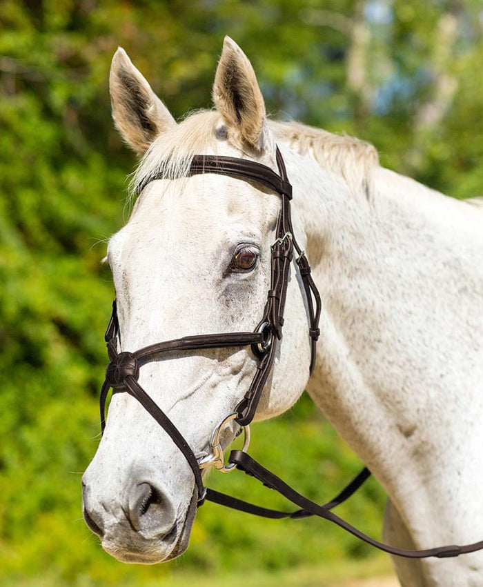 Shires Avignon Woodside Bridle - SEP1CT - Havana - Oversized - 2
