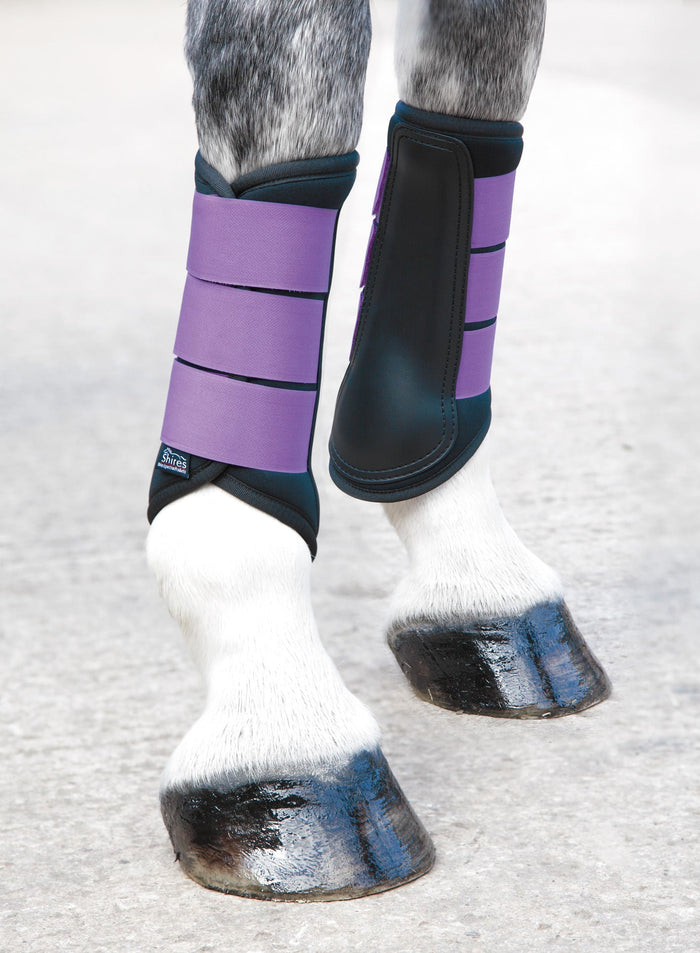 Black/Purple / Cob / Pair