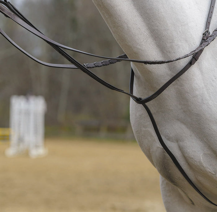 Shires Standing Martingale, Havana - SEP1DB - Cob - 2