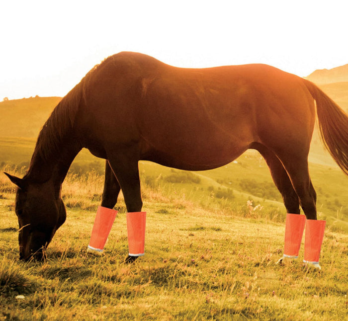 Shoofly Leggins Fine Mesh Fly Boots for Horses, 4 Pack - STBK - Orange - Medium - 3