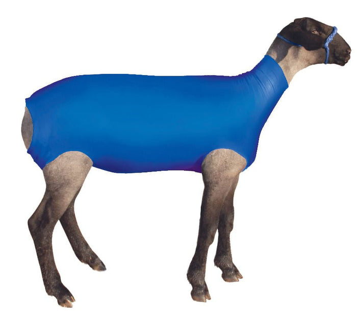 ShowPro Spandex Lamb Tube - TAAC - Blue - Small - 1