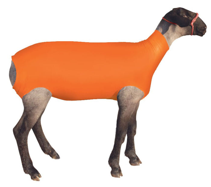 ShowPro Spandex Lamb Tube - TAAL - Orange - Small - 3
