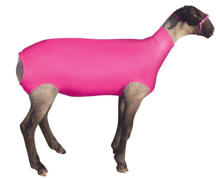 ShowPro Spandex Lamb Tube - TAAP - Pink - Small - 4