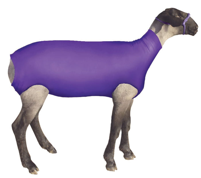ShowPro Spandex Lamb Tube - TAAT - Purple - Small - 5