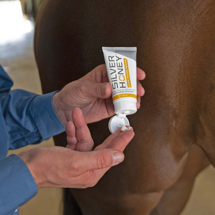 Silver Honey Rapid Wound Repair Ointment - Y1V2 - 5