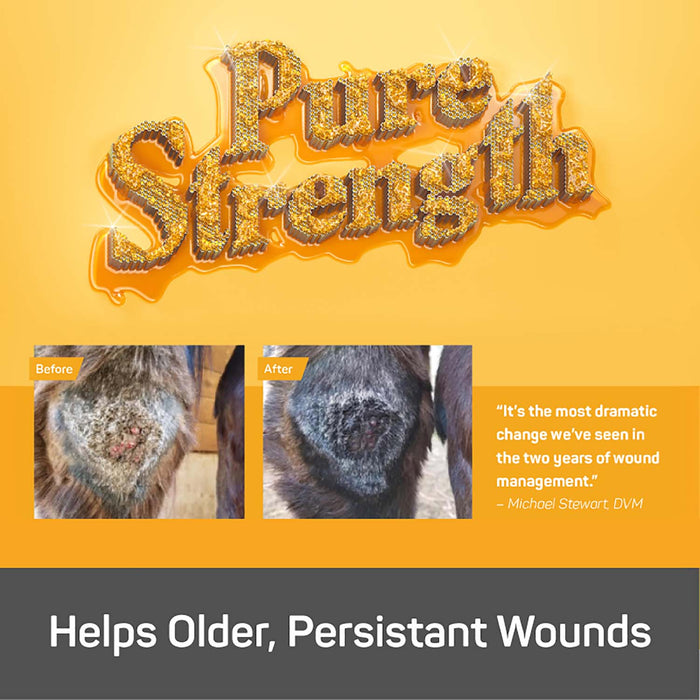 Silver Honey Rapid Wound Repair Ointment - Y1V2 - 6