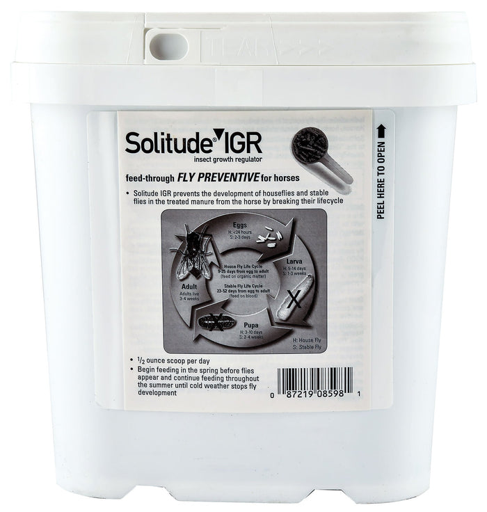 Solitude IGR - N21B - 6 lbs - 2