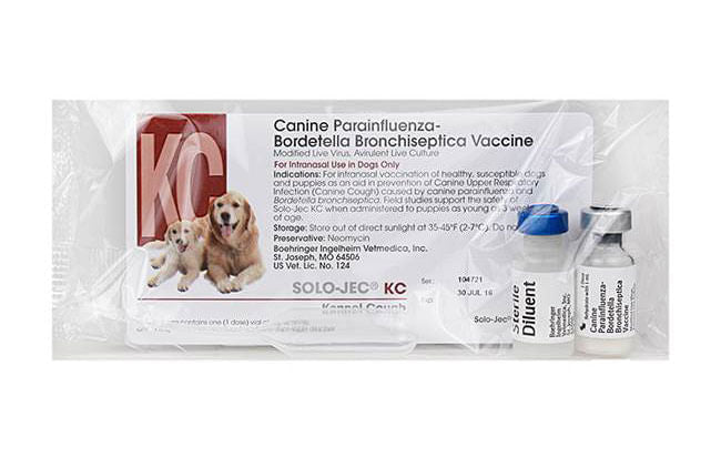 Solo - Jec KC (Kennel Cough) Intranasal Dog Vaccine - A9AK - 1 Dose - 1