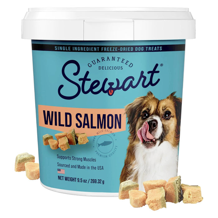 Wild Salmon / 9.5 oz