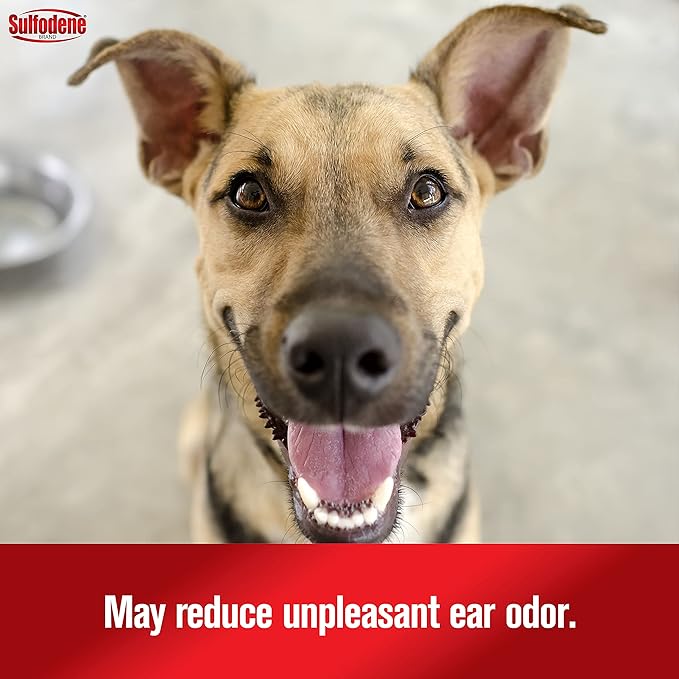 Sulfodene Ear Cleaner Antiseptic for Dogs and Cats - FAAQ - 6