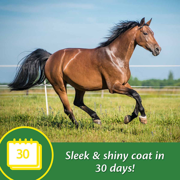 Super 14 Healthy Skin & Coat Horse Supplement - FAS2 - 2.75 lbs - 44 Day Supply - 3