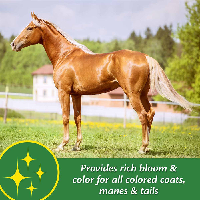 Super 14 Healthy Skin & Coat Horse Supplement - FAS2 - 2.75 lbs - 44 Day Supply - 4
