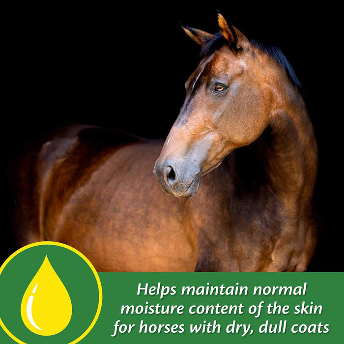 Super 14 Healthy Skin & Coat Horse Supplement - FAS2 - 2.75 lbs - 44 Day Supply - 5