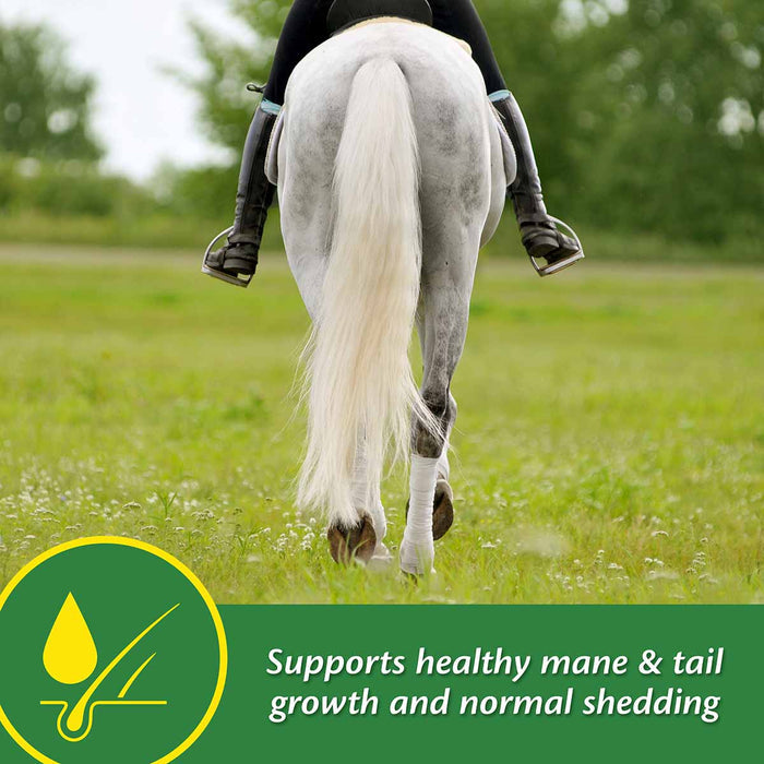 Super 14 Healthy Skin & Coat Horse Supplement - FAS2 - 2.75 lbs - 44 Day Supply - 6