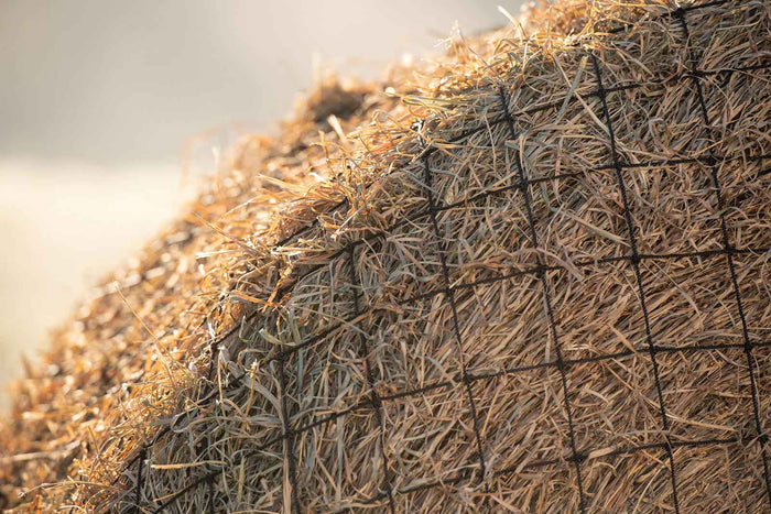 Texas Haynet Livestock Hay Bale Net for Round or Square Bales, 3" Holes - THAD - Round - 6 lbs - 5