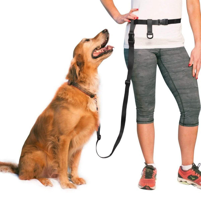 The Buddy System Adjustable Hands Free Dog Leash DailySale