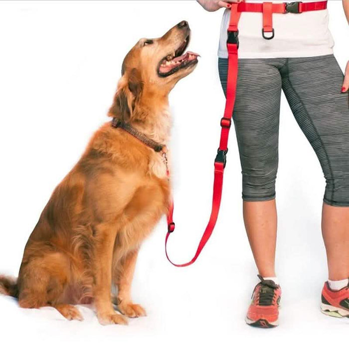 The Buddy System Adjustable Hands Free Dog Leash DailySale
