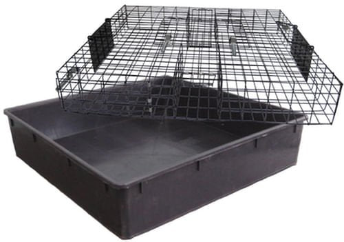 Tray With Basin