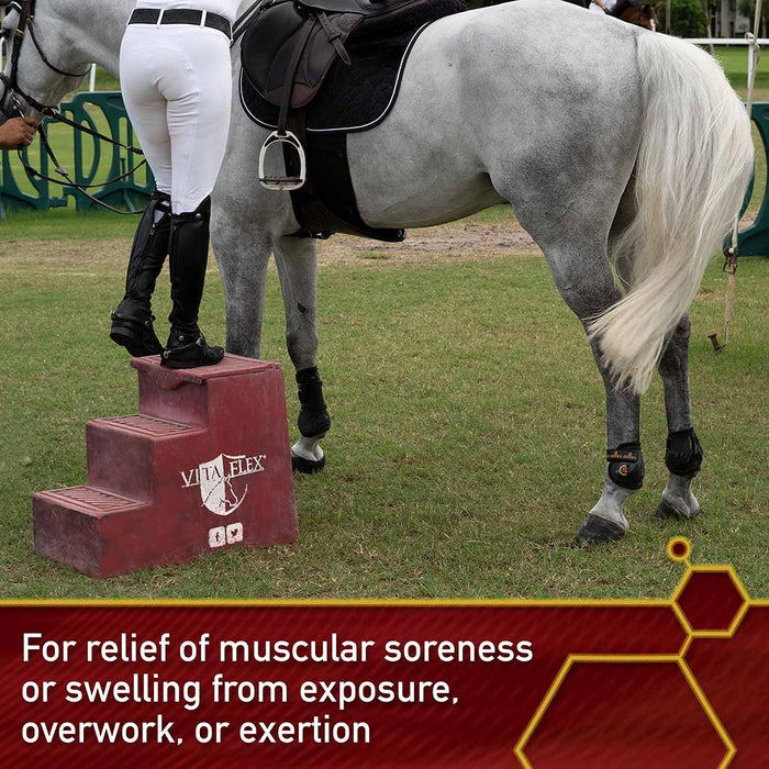 Thermaflex Liniment Gel with MSM, 12 oz - FATQ - 12 oz - 7