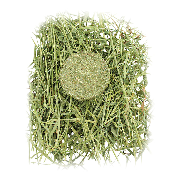 Timothy Treasures Pure Timothy - 010BEST-06725 - 2