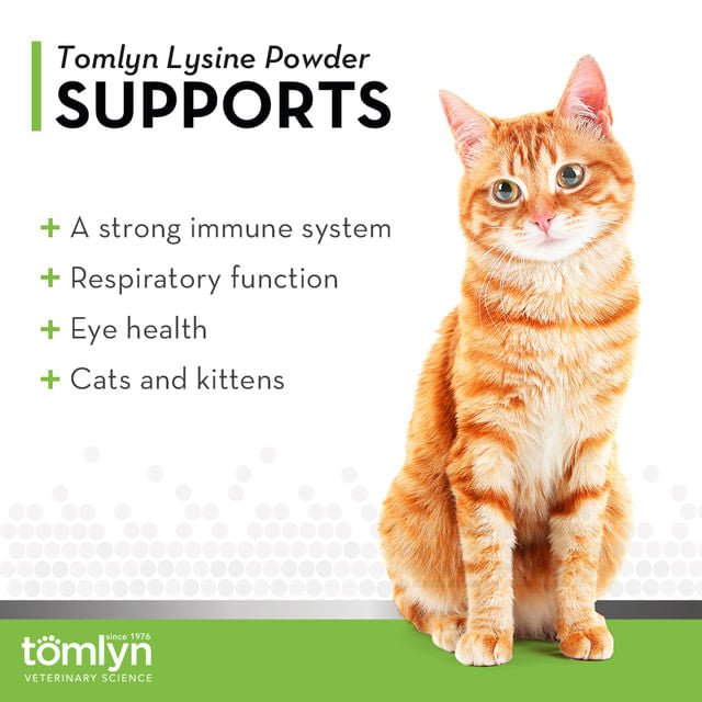 L - Lysine Powder Immune Support Supplement for Cats, 3.5 oz - T6AH - 5